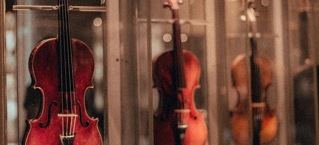 row of violins in display cases