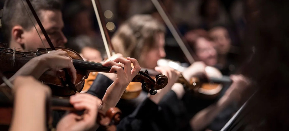 closeup of several people playing violins at a concert