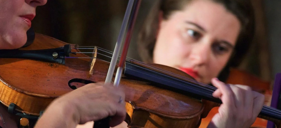 closeup of a person playing violin at a concert