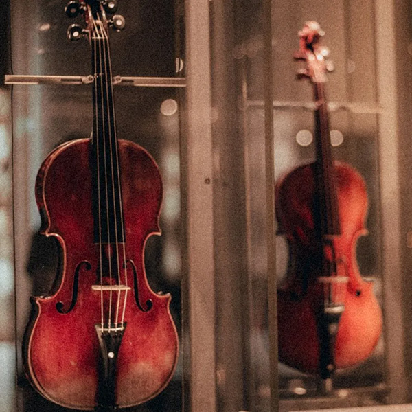 Row of violins in display cases