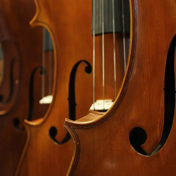 Row of violins