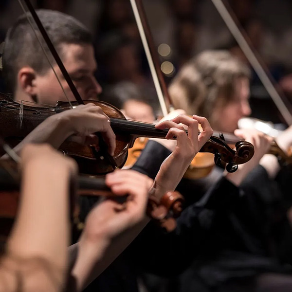 Several people playing the violin in a concert