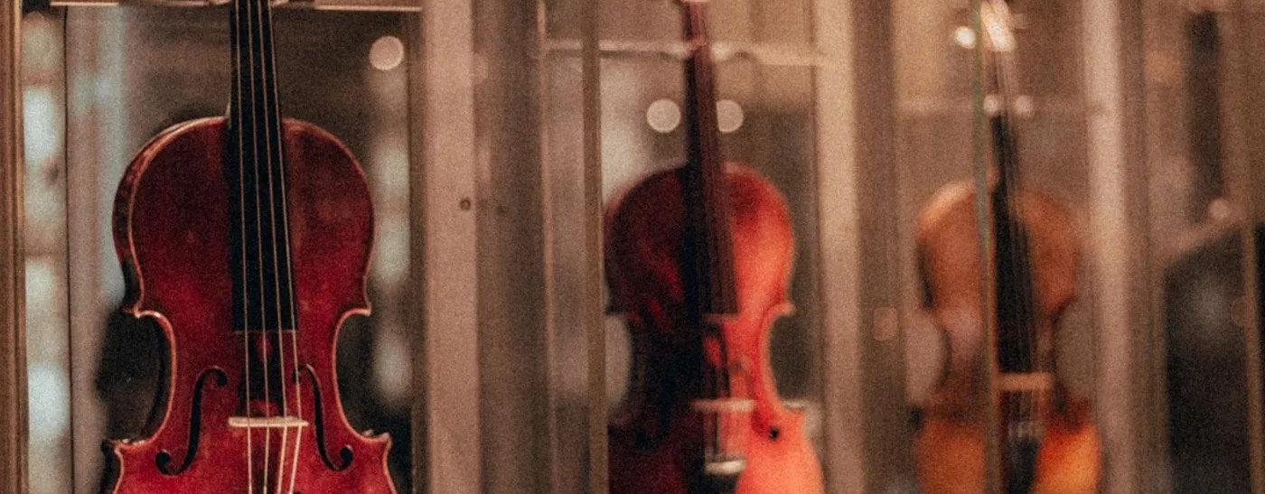 A row of violins